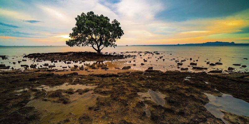 Pantai-Oesapa-Kupang