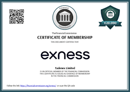 Understanding IB Exness Unlocking New Opportunities in Forex Trading