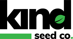 Weed Seeds for Sale Find the Best Strains for Your Garden